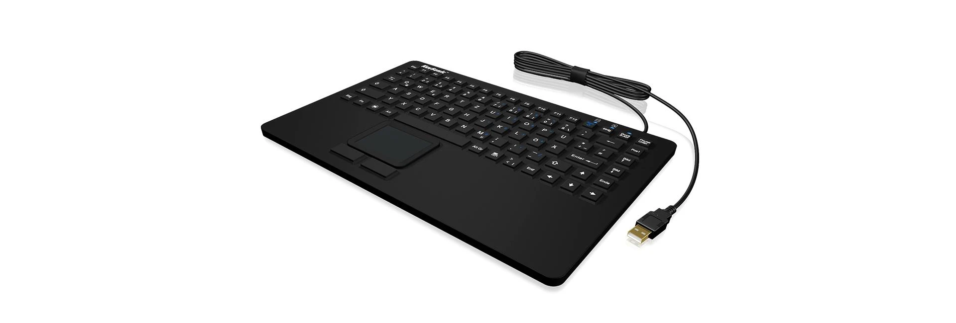 RaidSonic KEYSONIC KSK-5230 IN silikoninė klaviatūra su jutikliniu kilimėliu vandeniui atspari antimikrobinė industry antigrybelinė priemonė