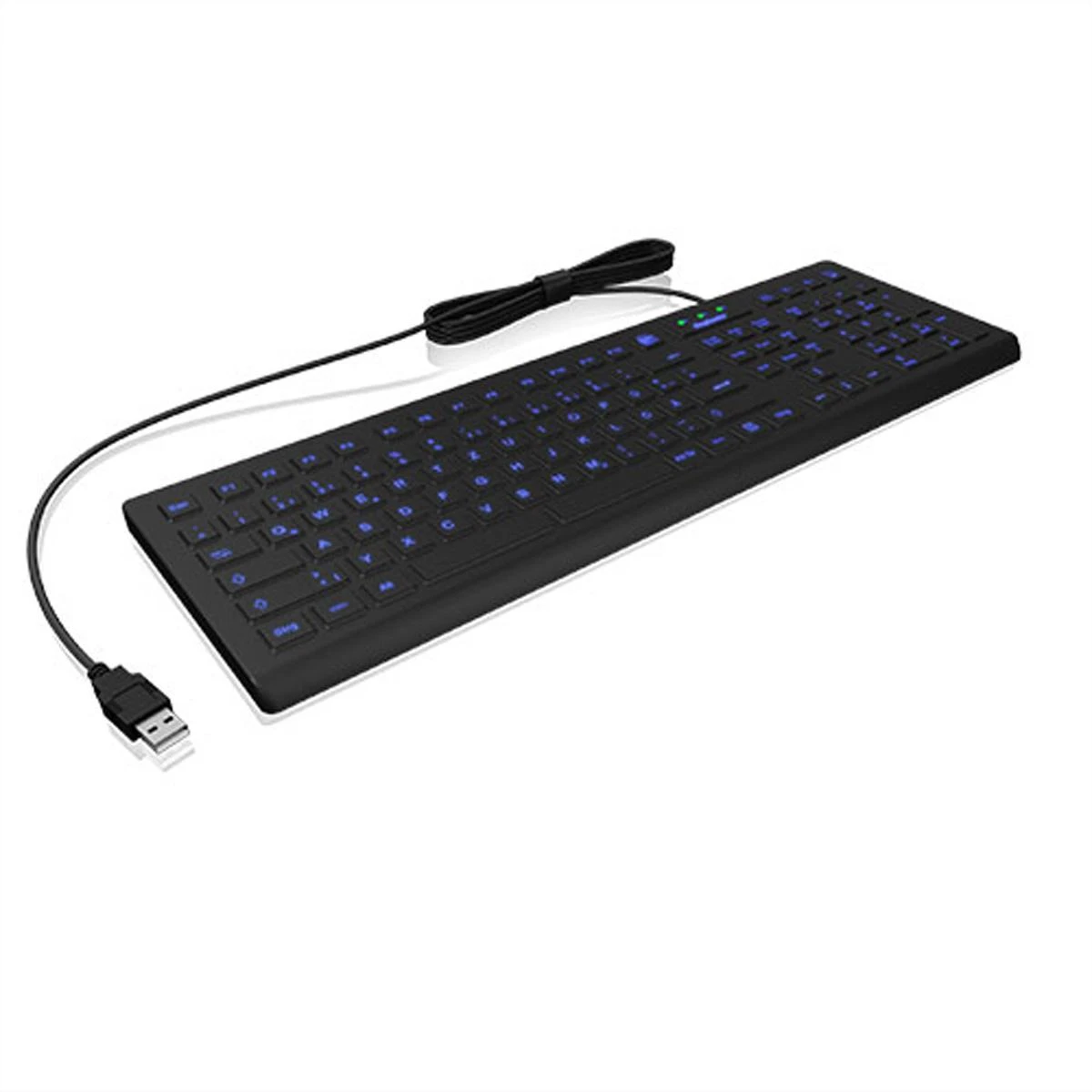 RaidSonic KeySonic KSK-8031INEL-B (DE) klaviatūra Industrial USB QWERTZ German Juodas