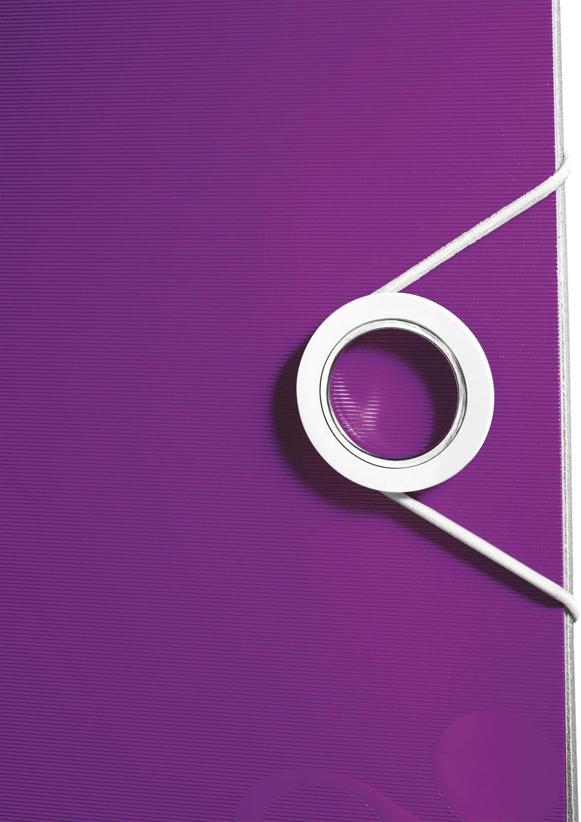 Violetinis segregatorius – elastinės gumytės užsegimas