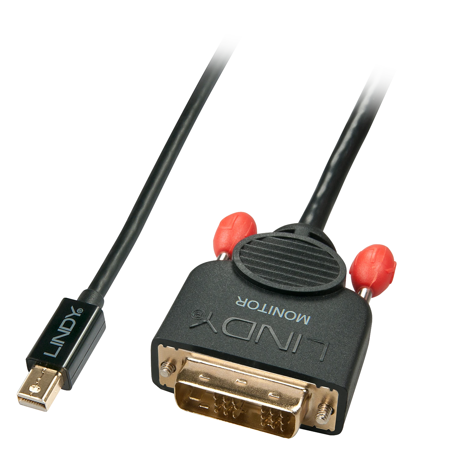 Lindy Mini DisplayPort į DVI kabelis su apsauginiais dangteliais