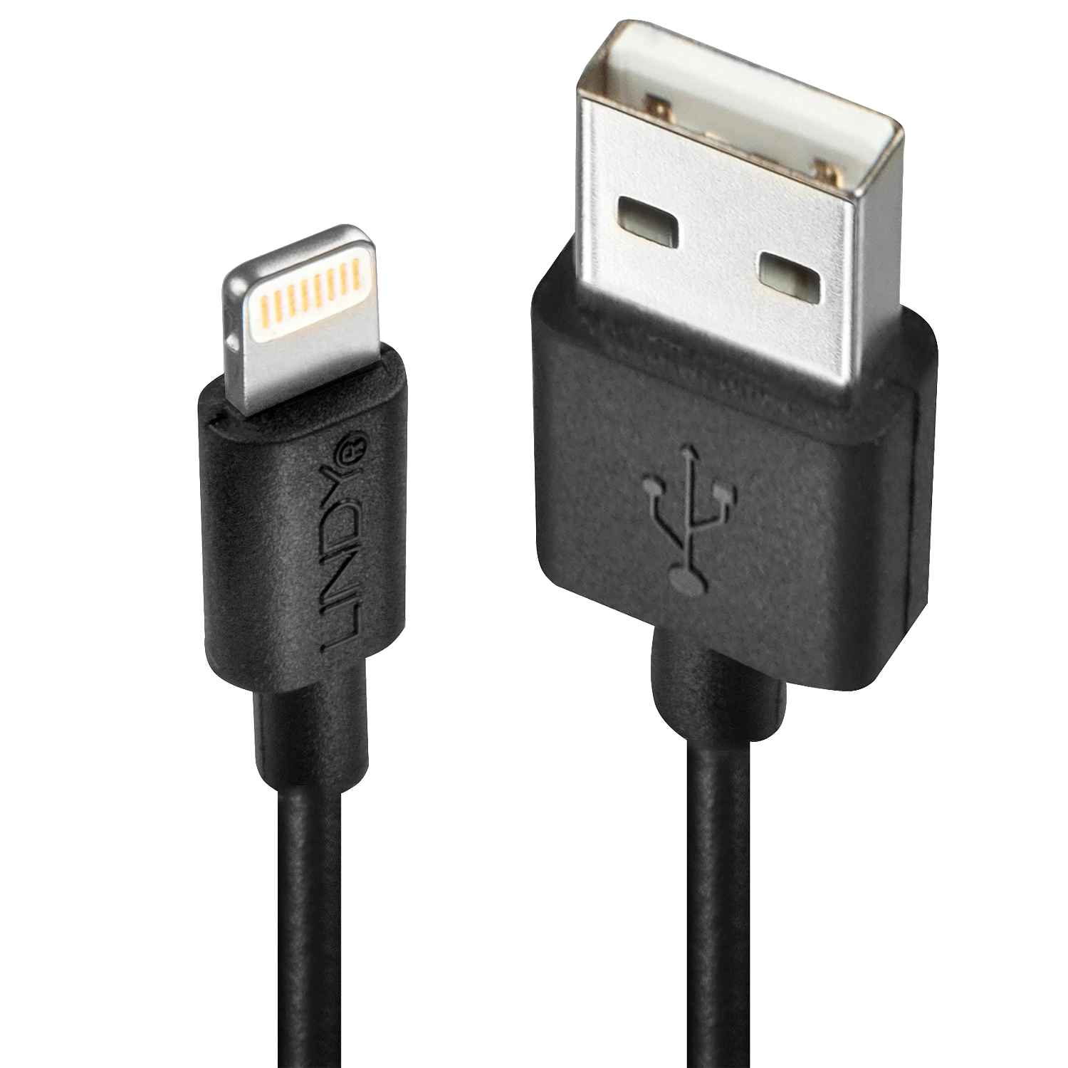 USB Kabelis - LINDY USB Type A į Lightning Laidas, M/M, 480Mbps, Patvarus PVC, 3 m, Juodas