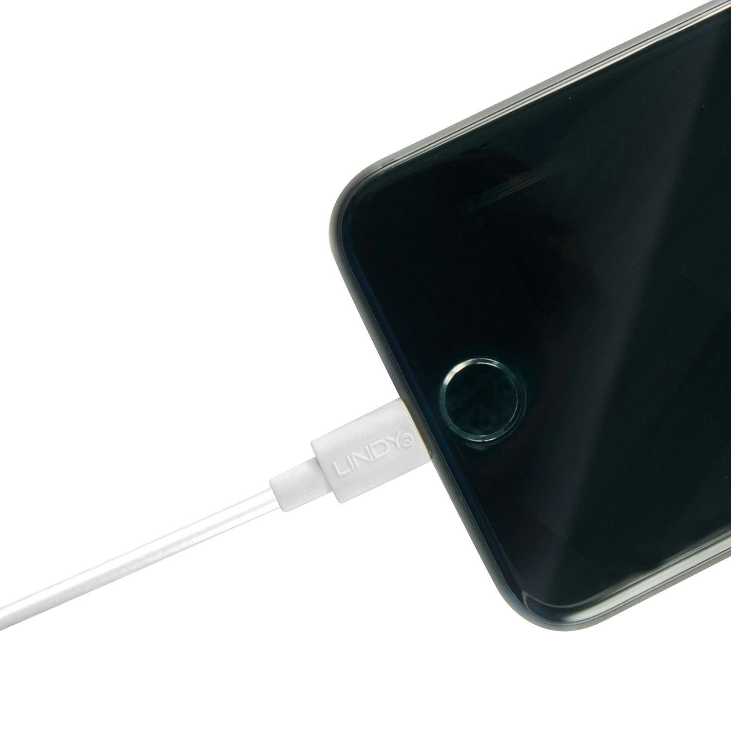 USB Kabelis - LINDY USB tipo A į Lightning Laidas, 480Mbps, 1 m, Baltas