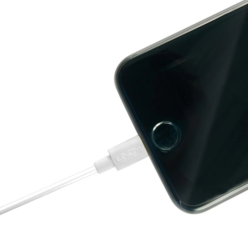 Kabelis - LINDY USB Type A į Lightning kabelis 3m 480Mbps baltas