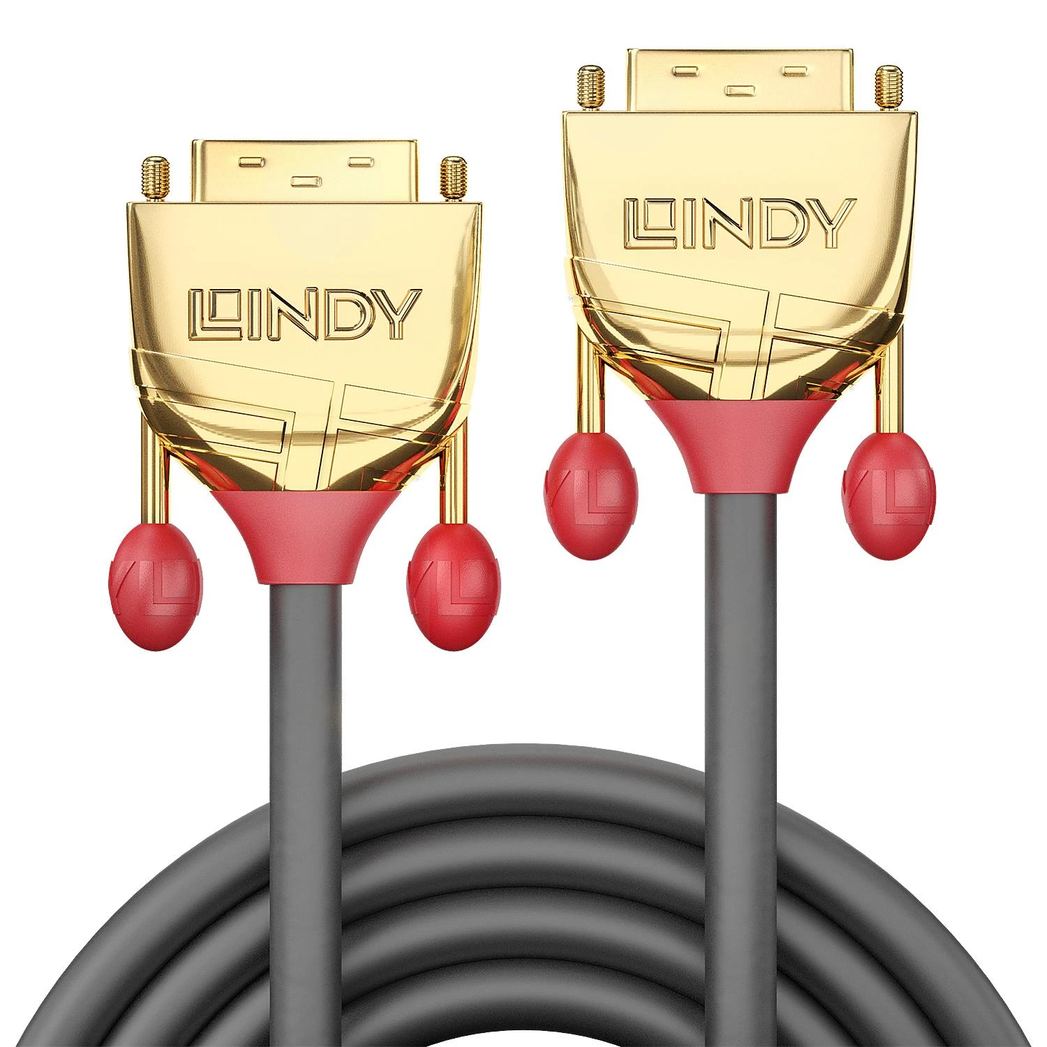 LINDY DVI-D kabelis su auksinėmis jungtimis