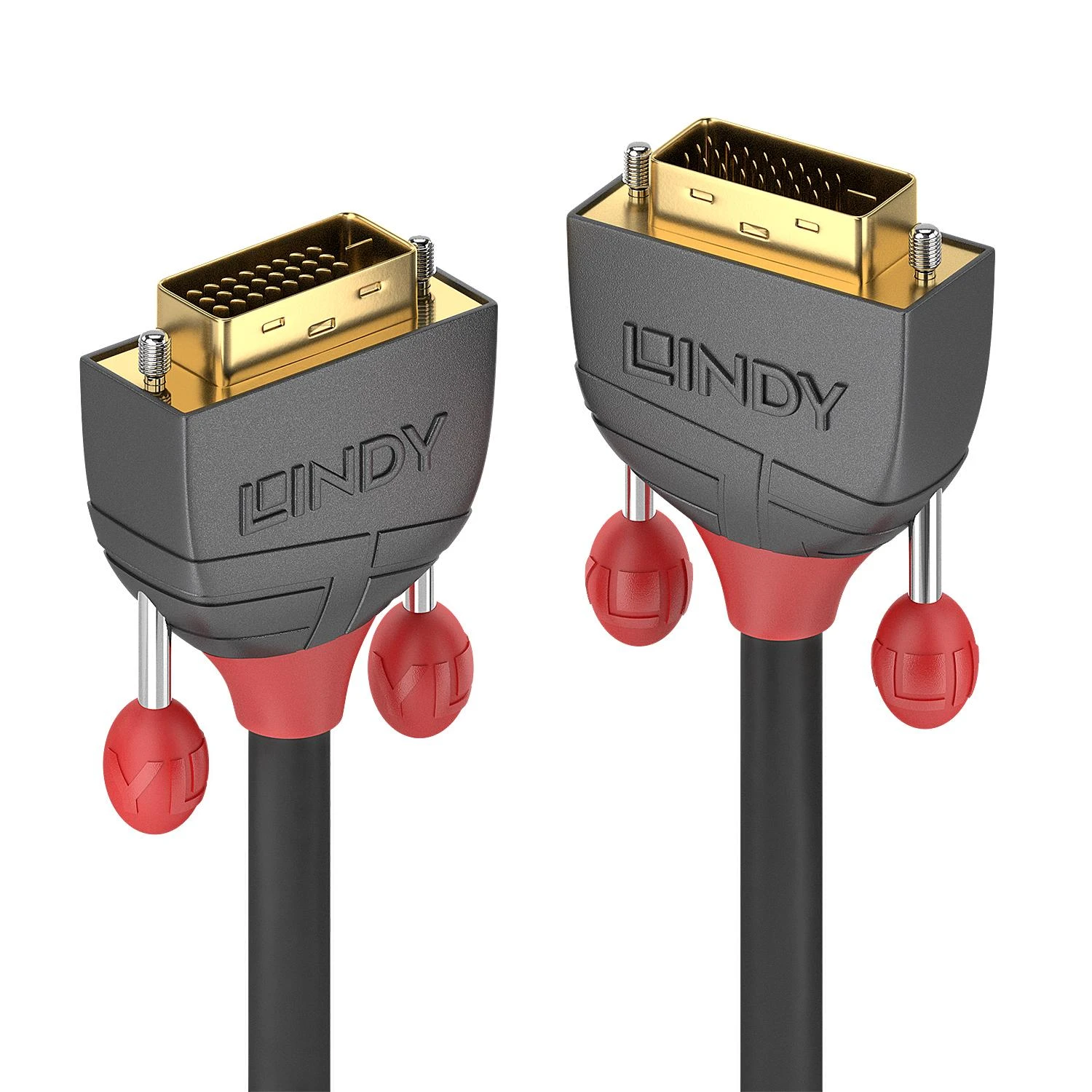 Lindy DVI-D laido jungtys su raudonais elementais