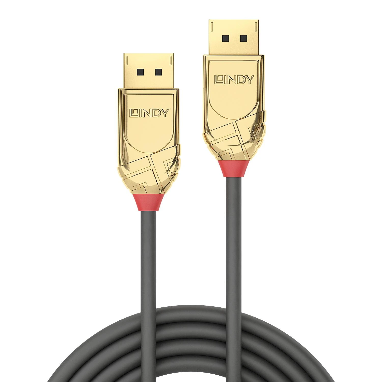 Lindy DisplayPort laidas su auksinėmis jungtimis