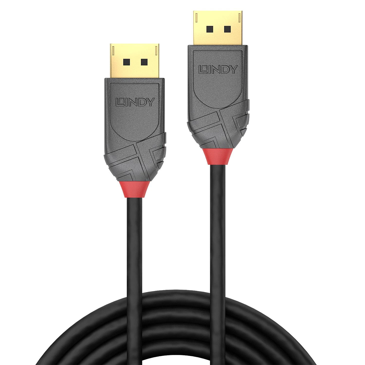 Lindy DisplayPort kabelis su auksintomis jungtimis