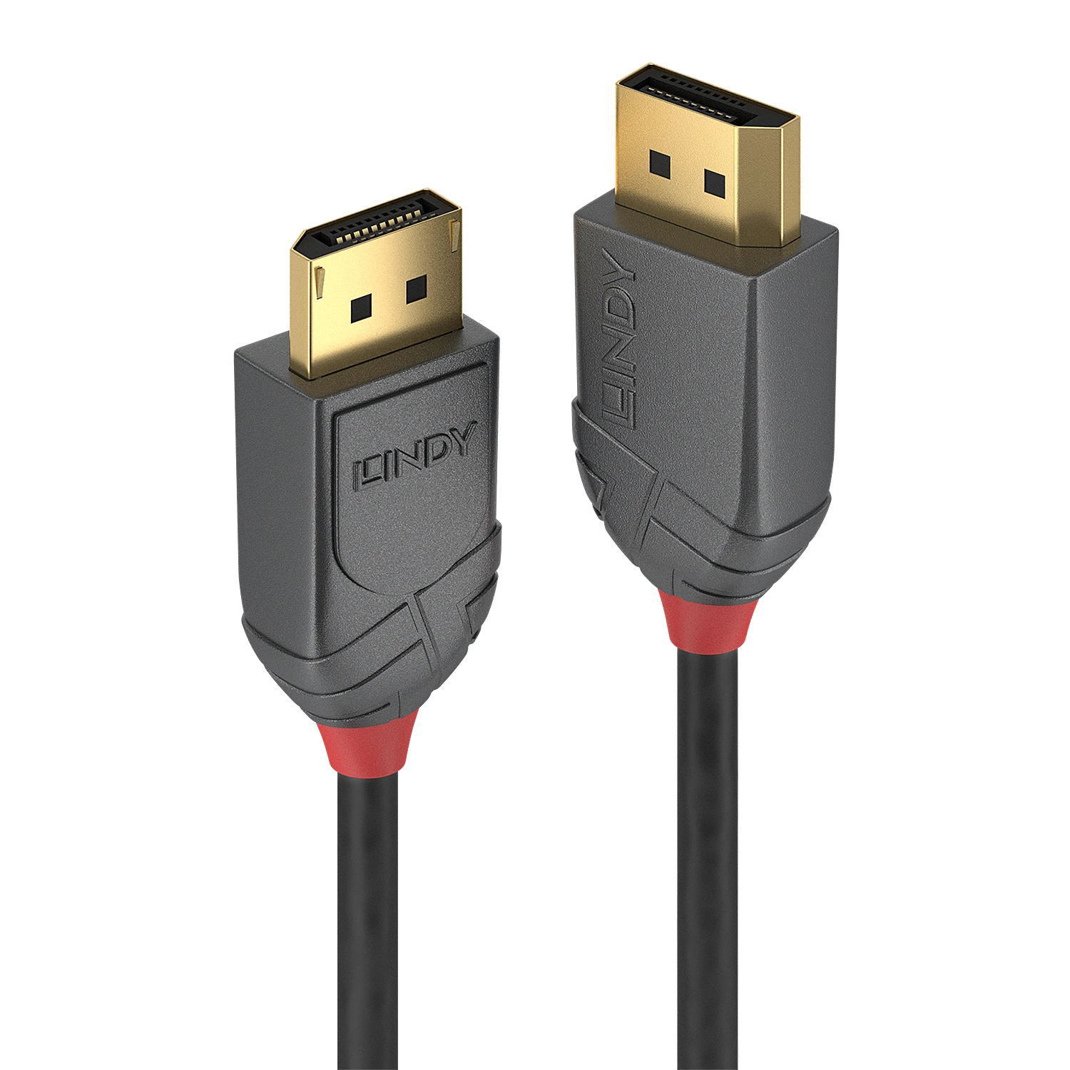 Lindy DisplayPort laidas su auksinėmis jungtimis
