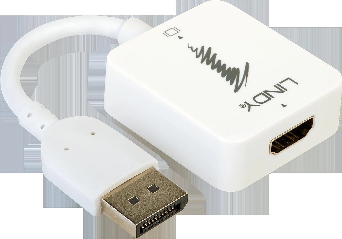 Lindy HDMI į DisplayPort adapteris su lanksčiu kabeliu