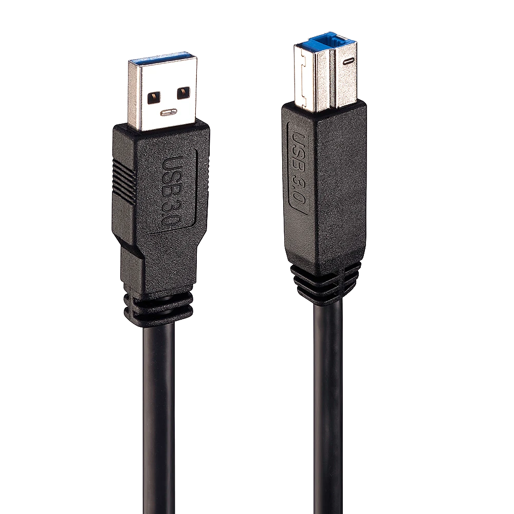 Lindy 43098 USB cable 10 m USB 3.2 Gen 1 (3.1 Gen 1) USB A USB B Juodas