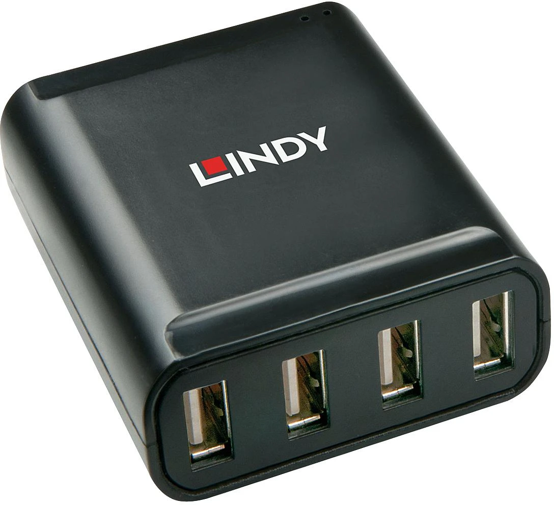 USB Ilgintuvas - LINDY 4 Prievadų USB 2.0 Cat.6 Ilgintuvas 60 m