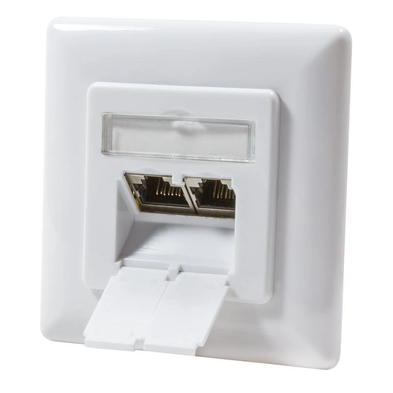 LogiLink LogiLink Cat.6A Anschlussdose, 2x RJ45,baltas, waagerecht - NP0123