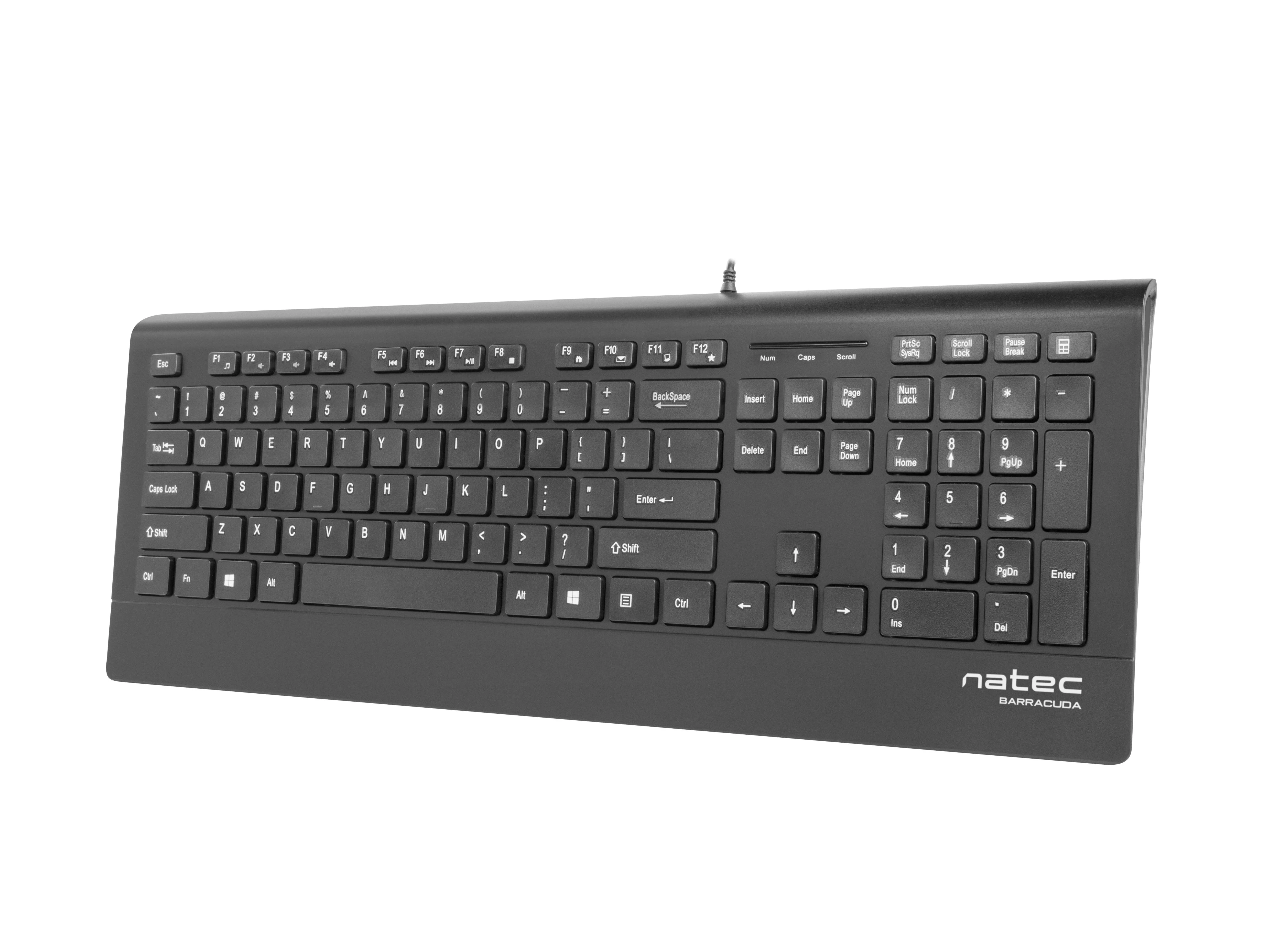 NATEC NKL-0876 Mulitmedia Klaviatūra BARRACUDA Slim USB US išdėstymas Juodas