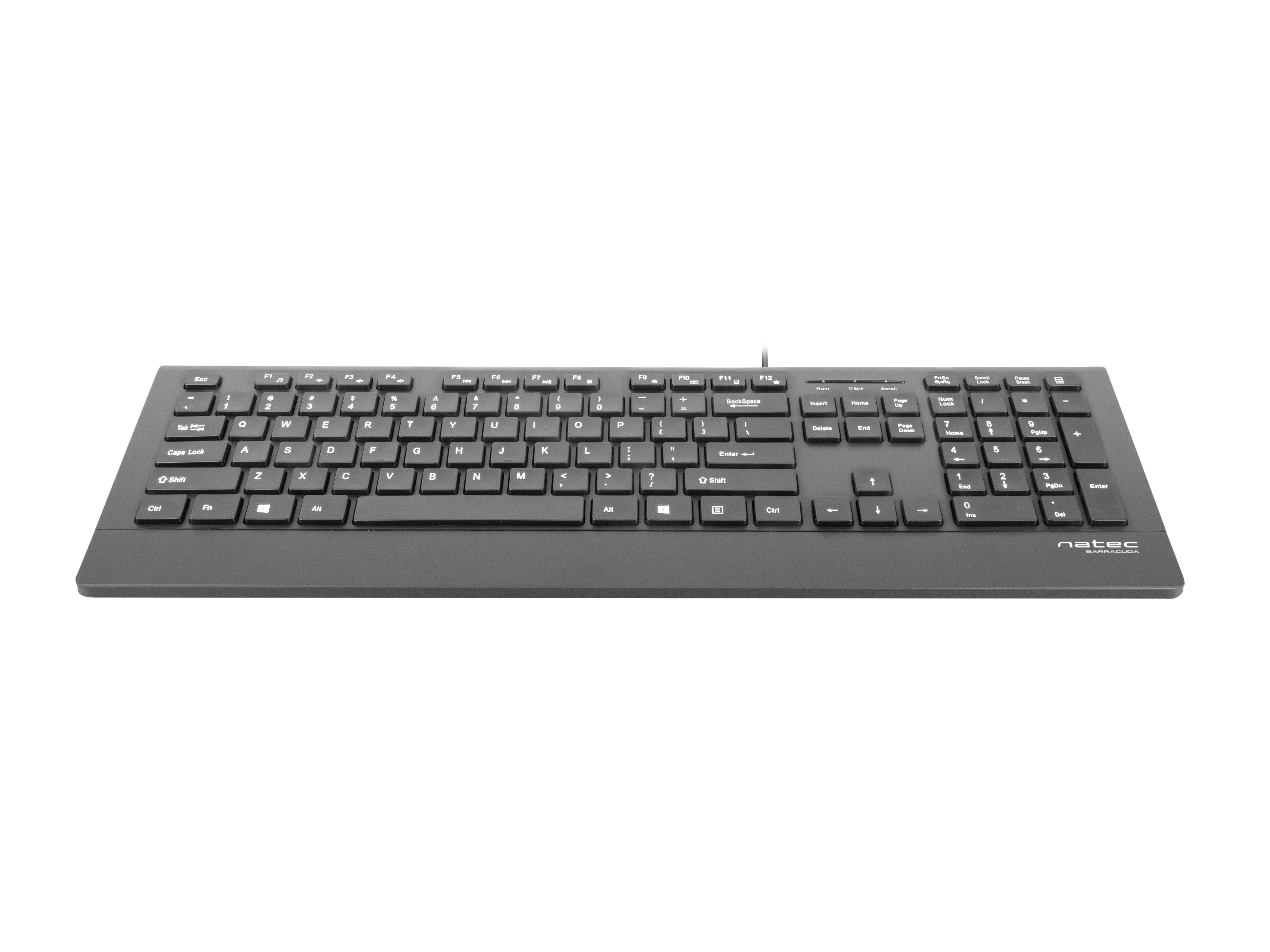 NATEC NKL-0876 Mulitmedia Klaviatūra BARRACUDA Slim USB US išdėstymas Juodas