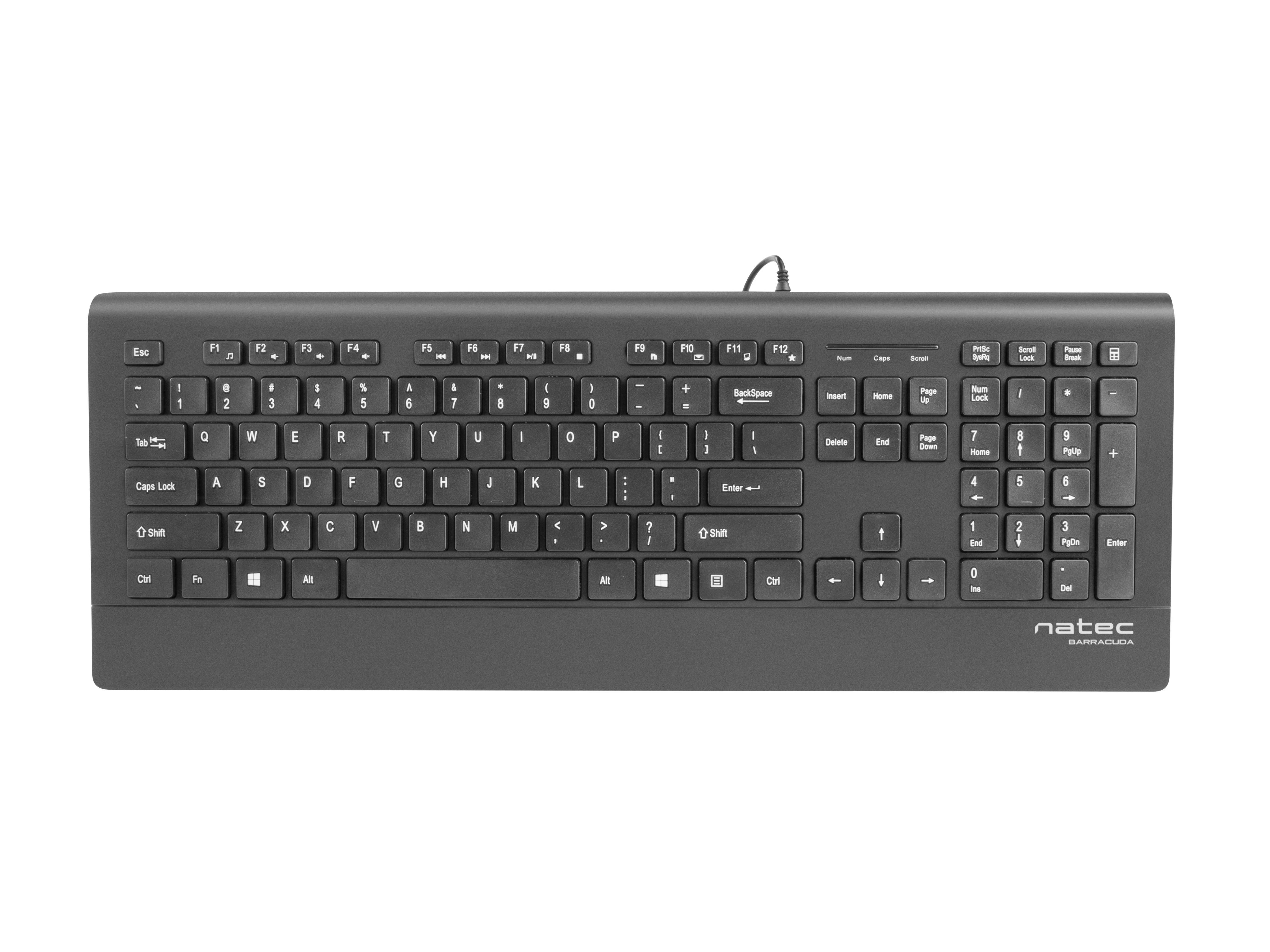 NATEC NKL-0876 Mulitmedia Klaviatūra BARRACUDA Slim USB US išdėstymas Juodas