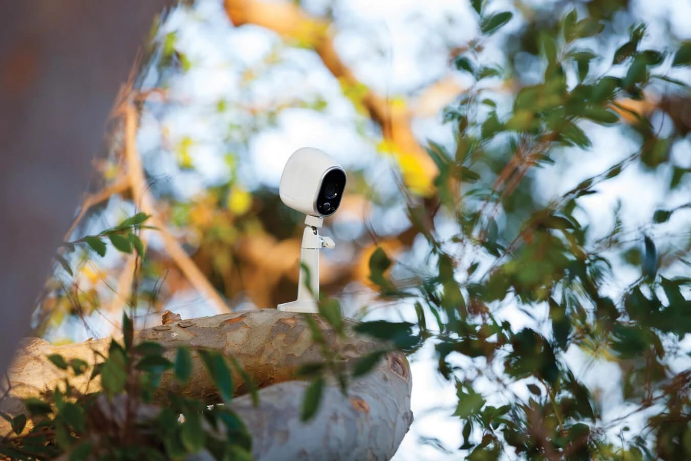Netgear Arlo VMA1000-10000S Reguliuojamas sieninis laikiklis Netgear