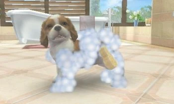 Nintendogs ir katės 3D: auksaspalvis retriveris (rinktinis) – Nintendo 3DS