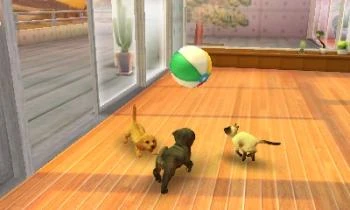 Nintendogs ir katės 3D: auksaspalvis retriveris (rinktinis) – Nintendo 3DS