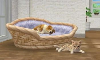 Nintendogs ir katės 3D: auksaspalvis retriveris (rinktinis) – Nintendo 3DS