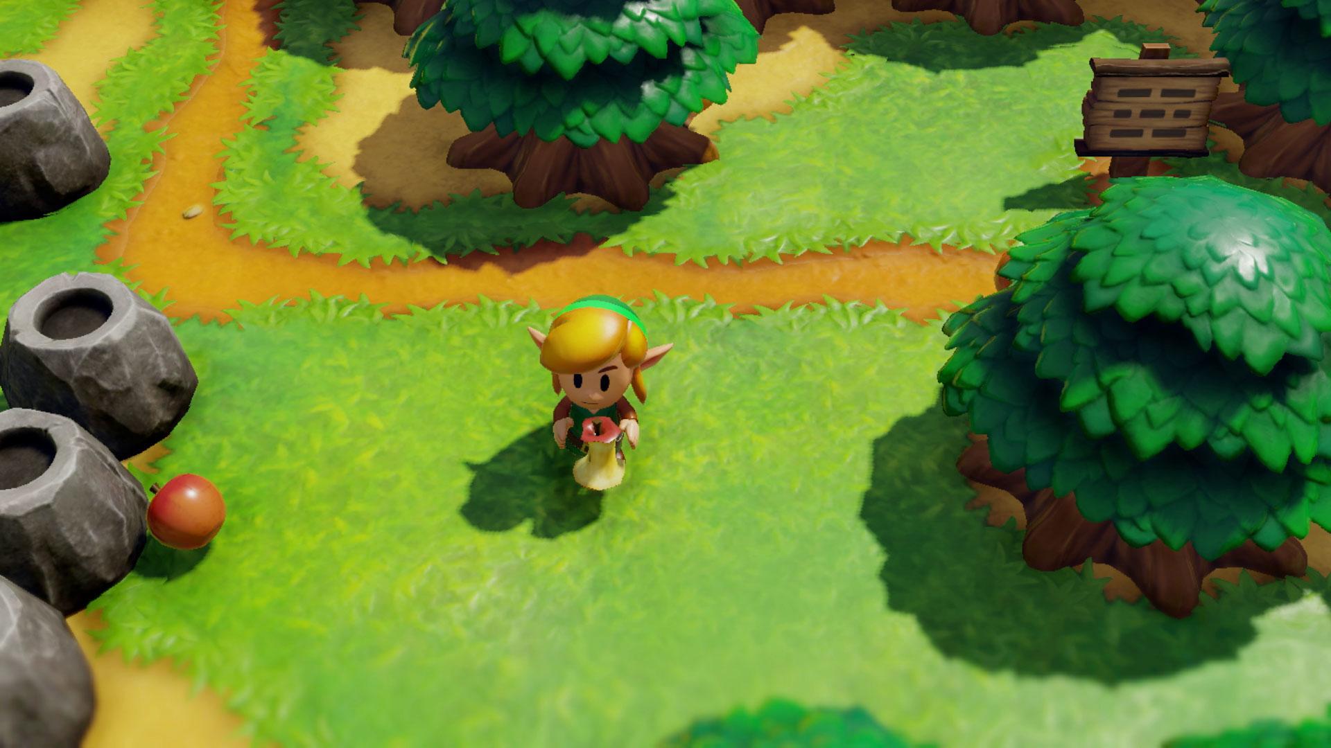 „Nintendo“ „Zelda legenda: Linko pabudimas“, „Nintendo Switch“