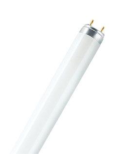 Osram 18W lempa LUMILUX T8, G13, 6500K, 604mm