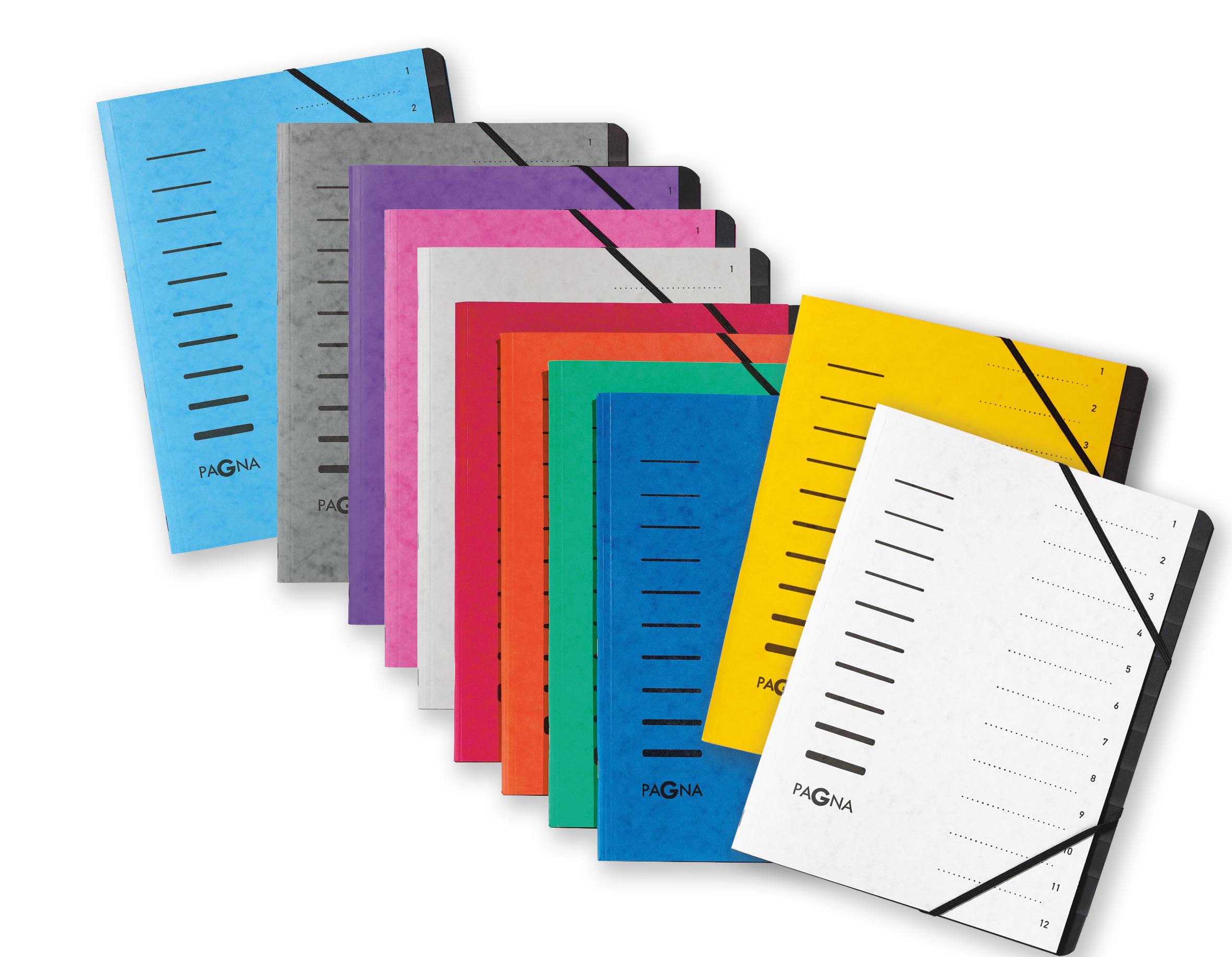 Laikiklis Pagna Folder 12 Fächer 1-12 baltas