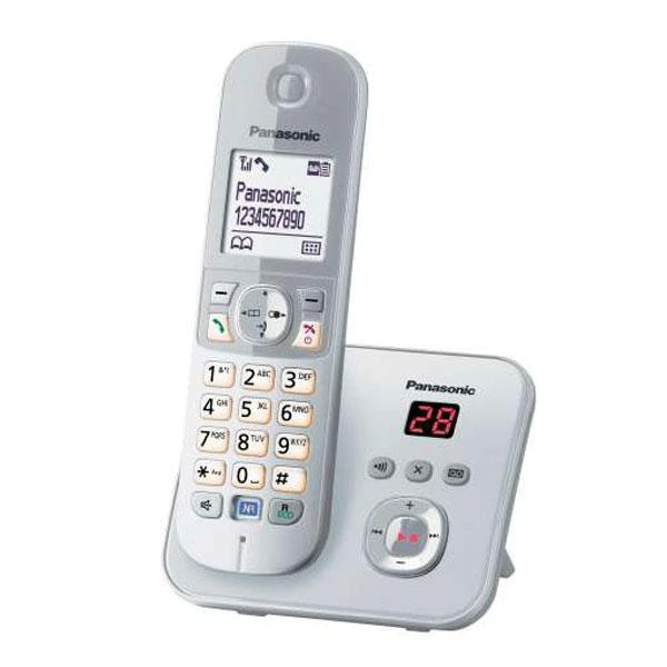 Telefonas Panasonic KX-TG6823GS