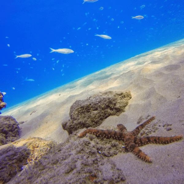 PolarPro Filtrai aqua GoPro 5 / 6