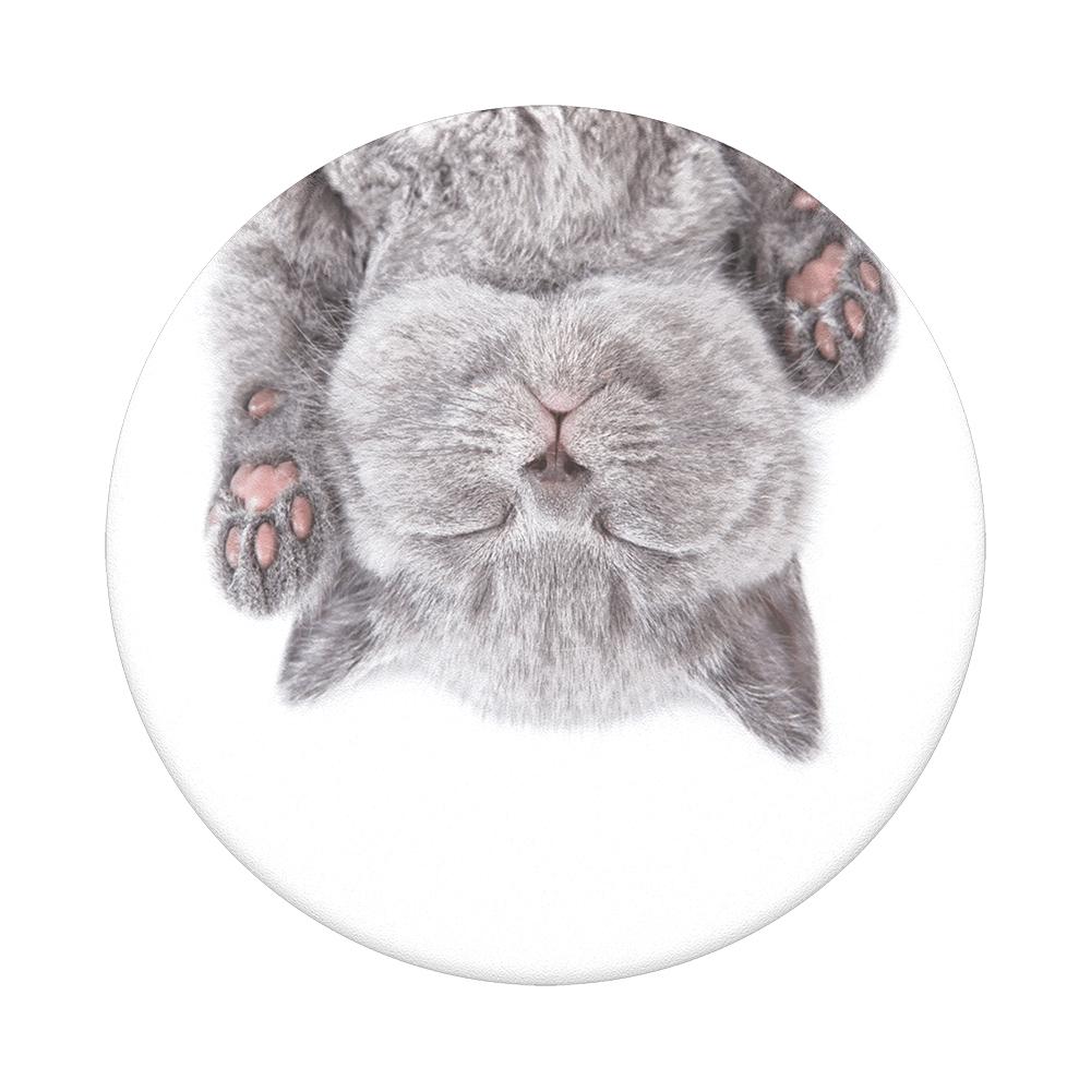Popsockets 2 Cat Nap 800947 telefono laikiklis - standard