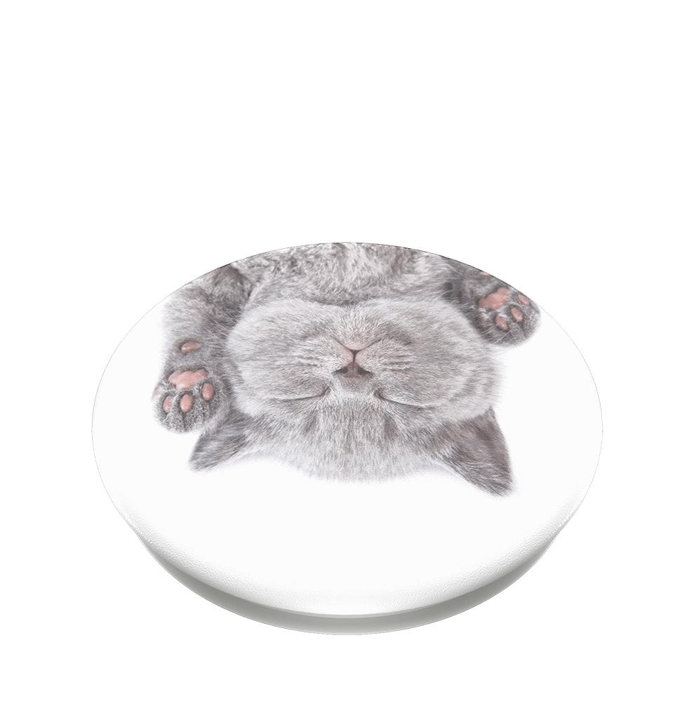 Popsockets 2 Cat Nap 800947 telefono laikiklis - standard