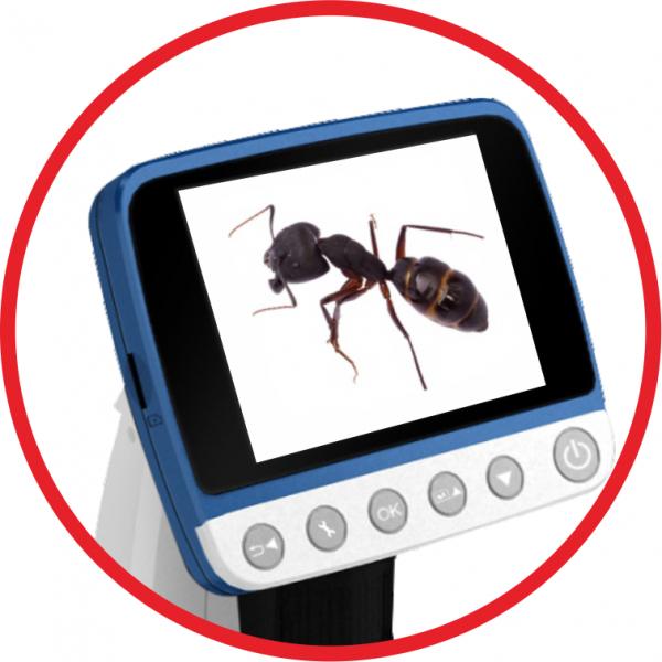 Mikroskopas Reflecta DigiMicroscope LCD Professional 500x
