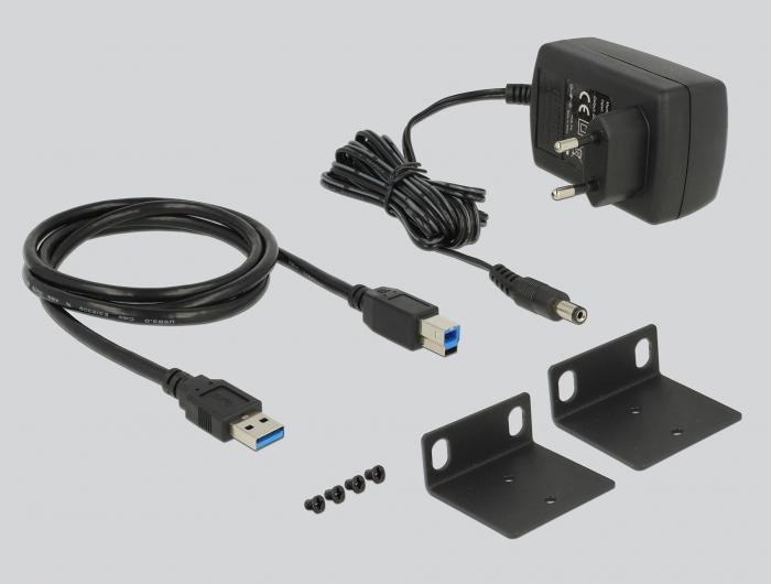 HUB USB 3.1 DELOCK 13-PORT AKTYWNY pramoninis 19" JUODA