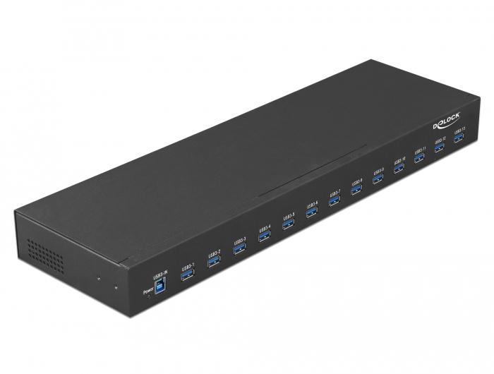 HUB USB 3.1 DELOCK 13-PORT AKTYWNY pramoninis 19" JUODA