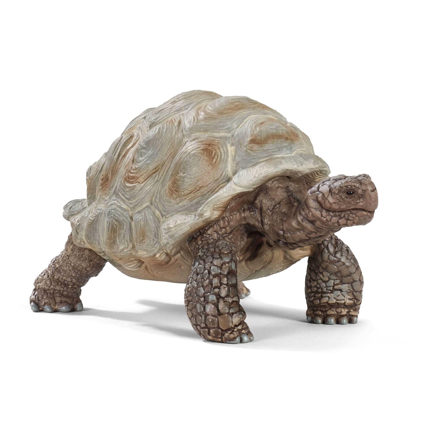 Schleich figūrėlė Vėžlys aprašymas - Prekės nuotrauka