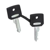 Schneider Electric Atsarginis raktas 2vnt.. NR455 ZBG455