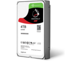 SEAGATE NAS HDD 4TB IronWolf