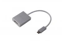 Adapteris USB LMP USB-C - DisplayPort Sidabrinė (LMP-USBC-MDP-S)