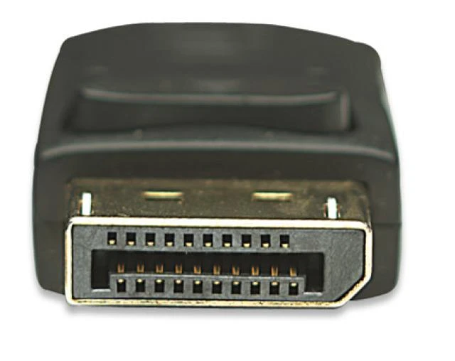 DisplayPort jungtis iš arti