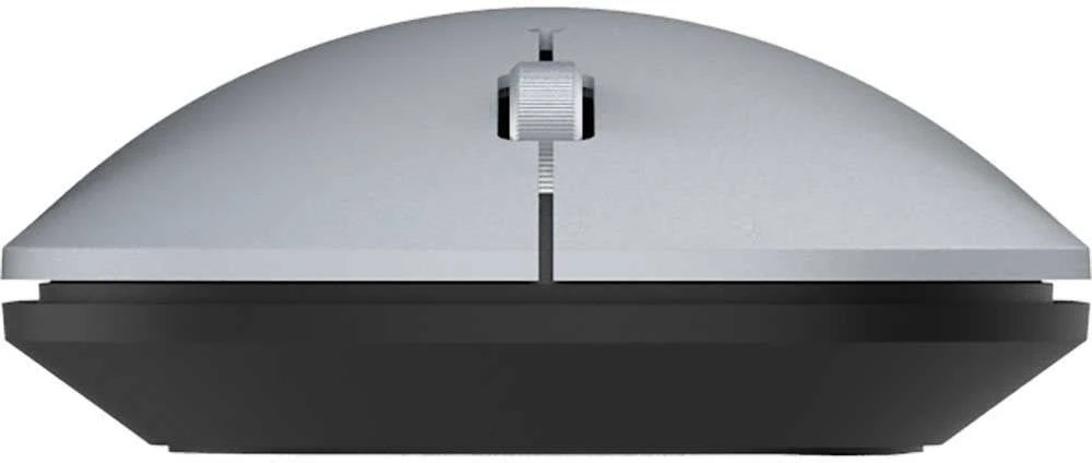 Wortmann TERRA Pelė NBM1000S wireless BT sidabrinis