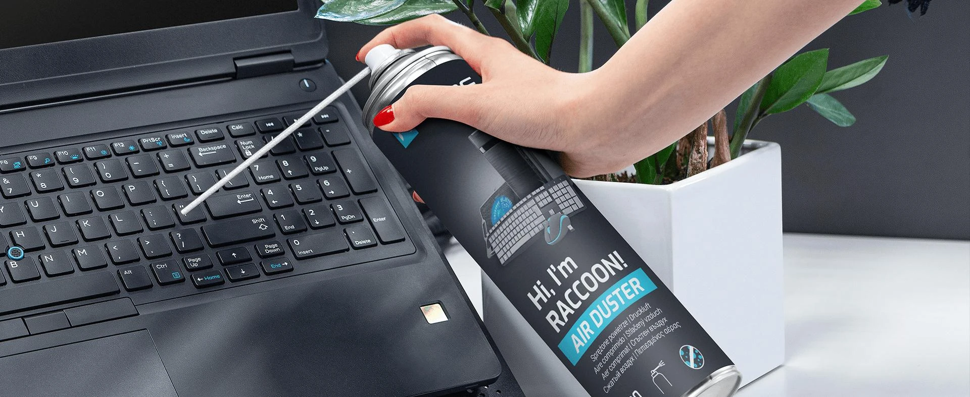 NATEC Suspausto oro dulkių šluostė Raccoon Air 600ml
