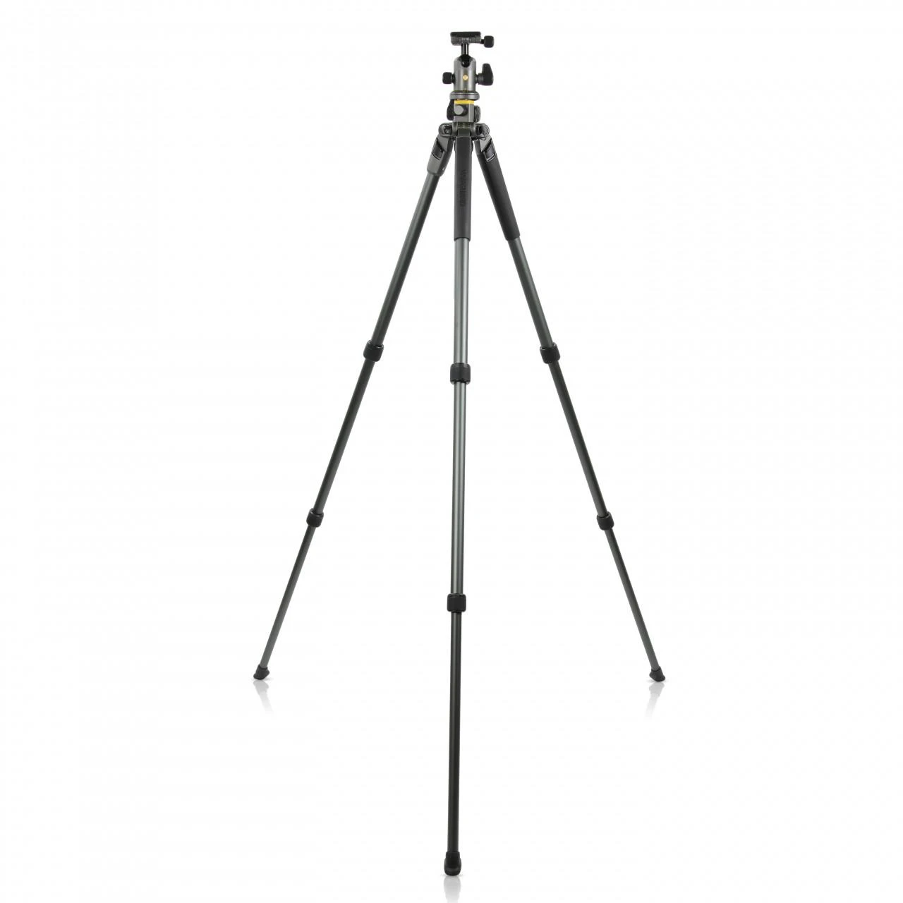 Vanguard ALTA PRO 2+ 263AB 100 173 cm, 7kg, Kojelių skaičius 3, 74 cm, Pasukamas, Skaitmeniniai/filminiai fotoaparatai, Alta BH 100 rutulinė galvutė