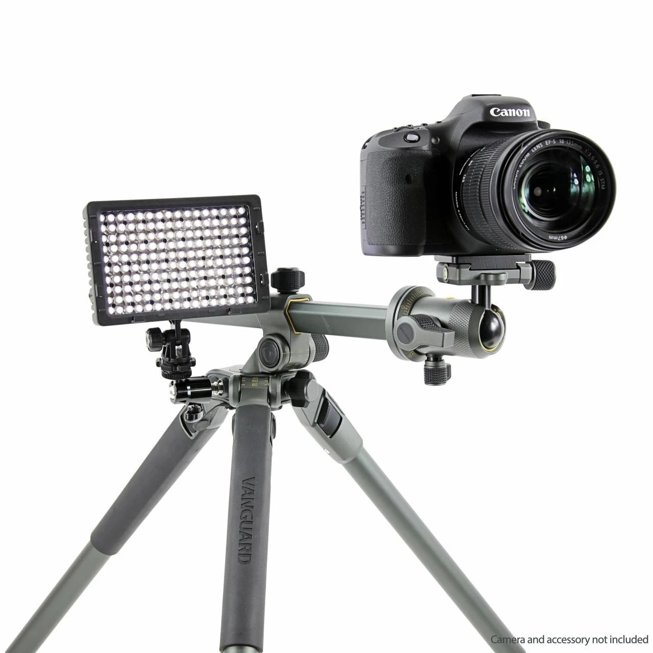 Vanguard ALTA PRO 2+ 263AB 100 173 cm, 7kg, Kojelių skaičius 3, 74 cm, Pasukamas, Skaitmeniniai/filminiai fotoaparatai, Alta BH 100 rutulinė galvutė
