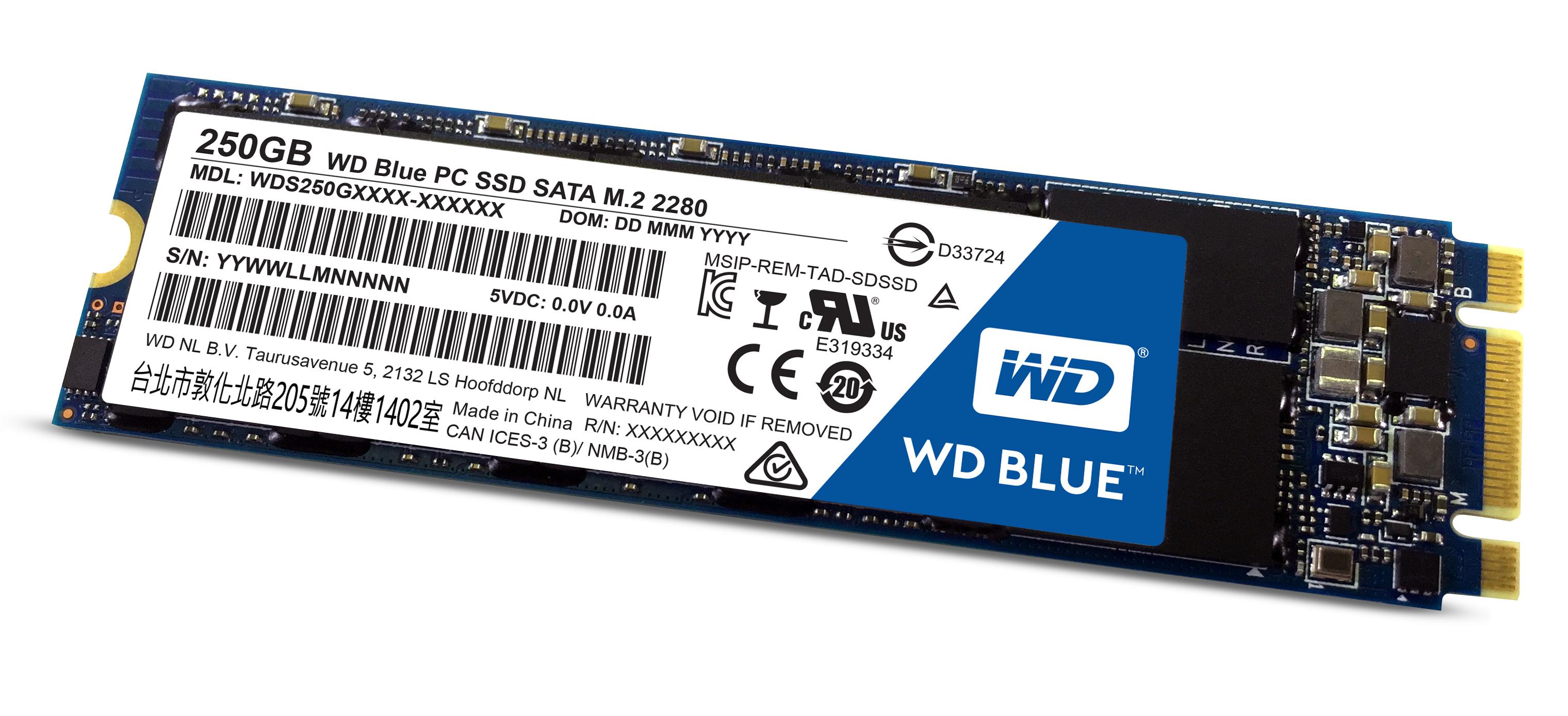 Sandisk Dysk SSD WD Mėlyna 250GB M.2 2280 SATA III (WDS250G1B0B)