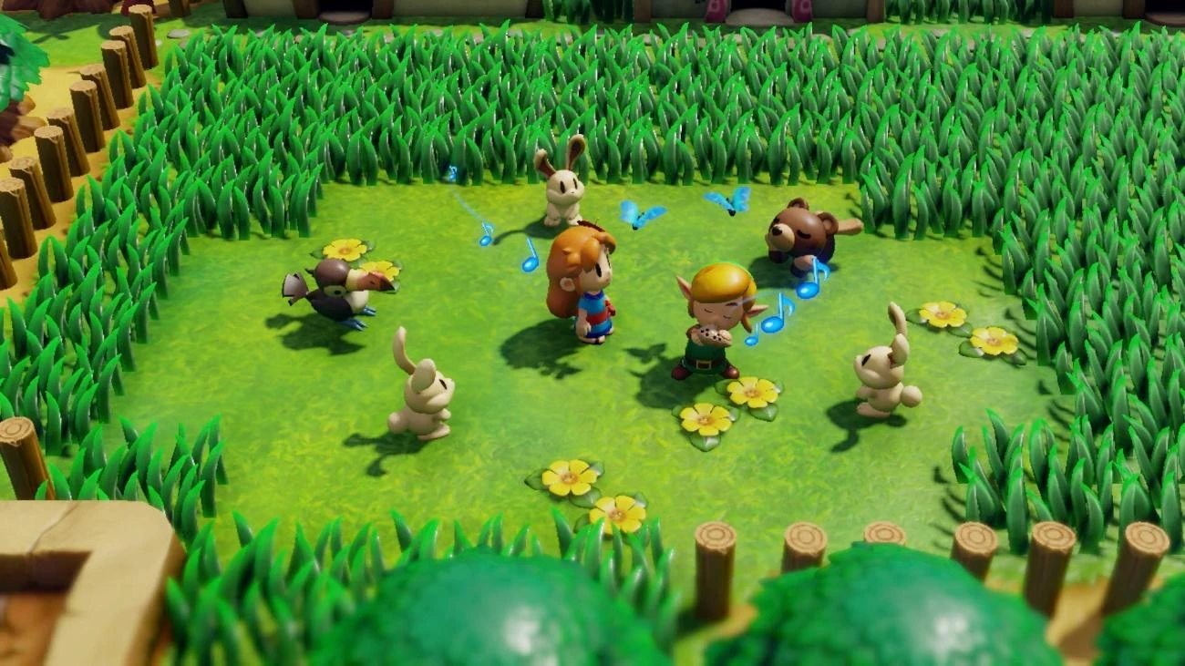 „Zelda legenda: Linko pabudimas“ (JK, SE, DK, FI) – „Nintendo Switch“