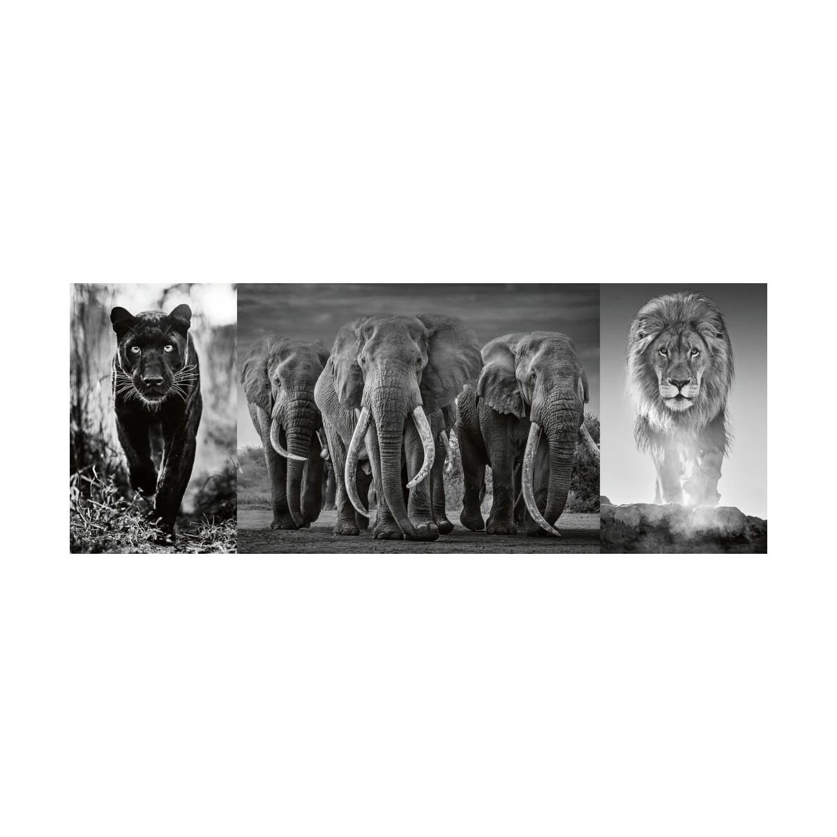 Ravensburger Dėlionė 1000 vnt. - Juodai balti gyvūnai