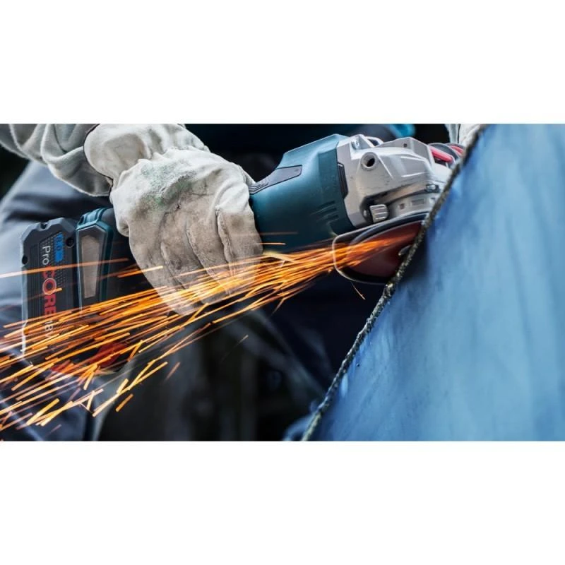Bosch X-LOCK PrismaCeramic R781 Metalas 125 mm, G60, 25vnt.