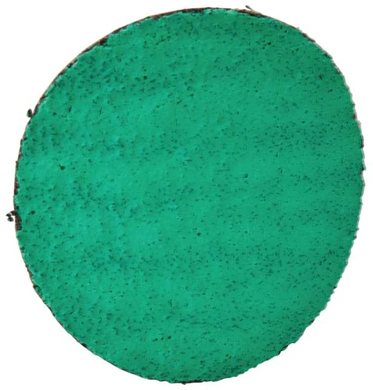 Makita Fibro šlifavimo diskas 50mm, Z60, 25vnt/kompl. E-07440 Modelis DPV300, PV301D