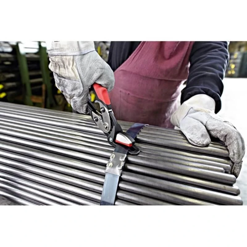 Tvirtinimo juostų kirpimo žirklės BESSEY D123S