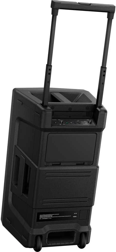 Pioneer DJ Wave-Eight kolonėlė su teleskopine rankena