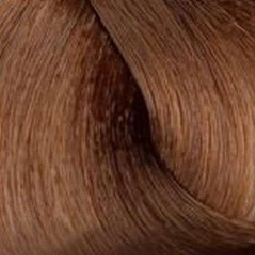 L'oreal Majirel 7.3 plaukų spalvos pavyzdys